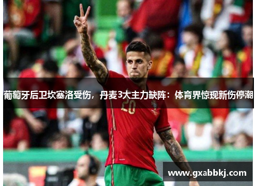 葡萄牙后卫坎塞洛受伤，丹麦3大主力缺阵：体育界惊现新伤停潮